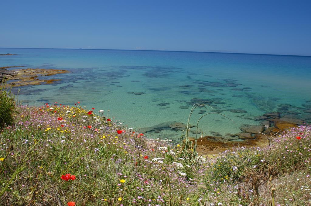 Sogno Di Rena Appartement Castelsardo Buitenkant foto